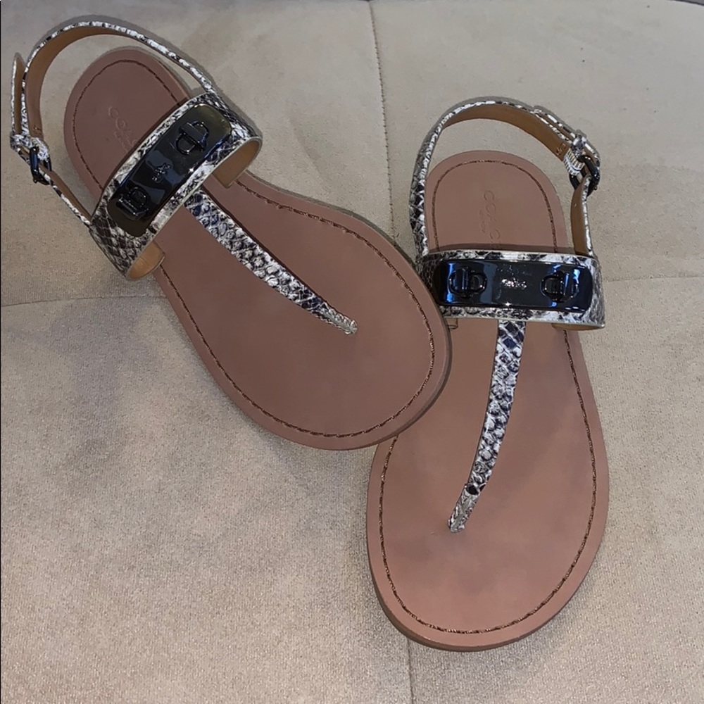 NWOT Coach Sandals Snakeskin print sz6
